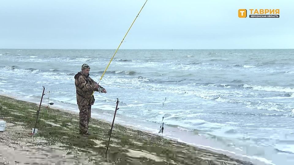 ����� 300 ������� ����������� ������� �� ���������� �������