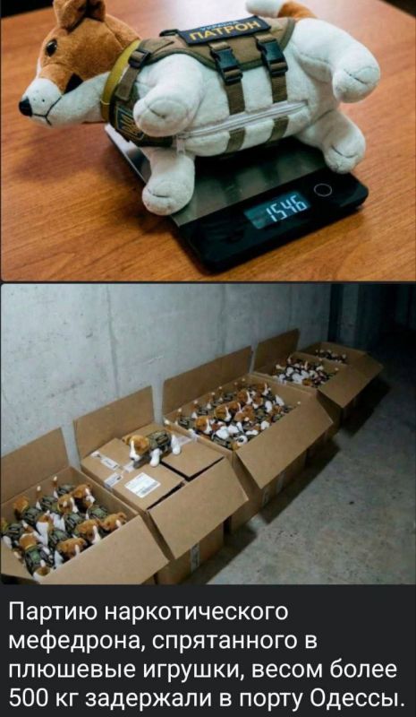 ���� ������� ��� ��������