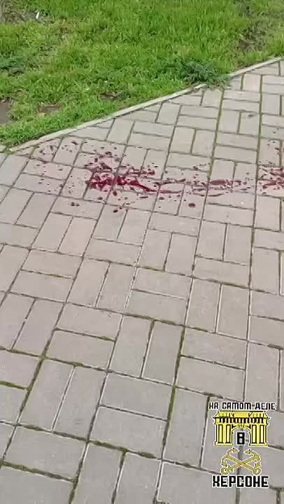 ��� ������� ��� � ������� ������ ������������ ��������