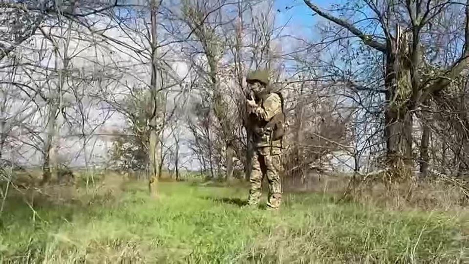 �� ������ ������ ������ ���������� ���������� � ������� ����� �Zala� ���������� � ���������� ��������������� ����� ��� ������ �������������� �����