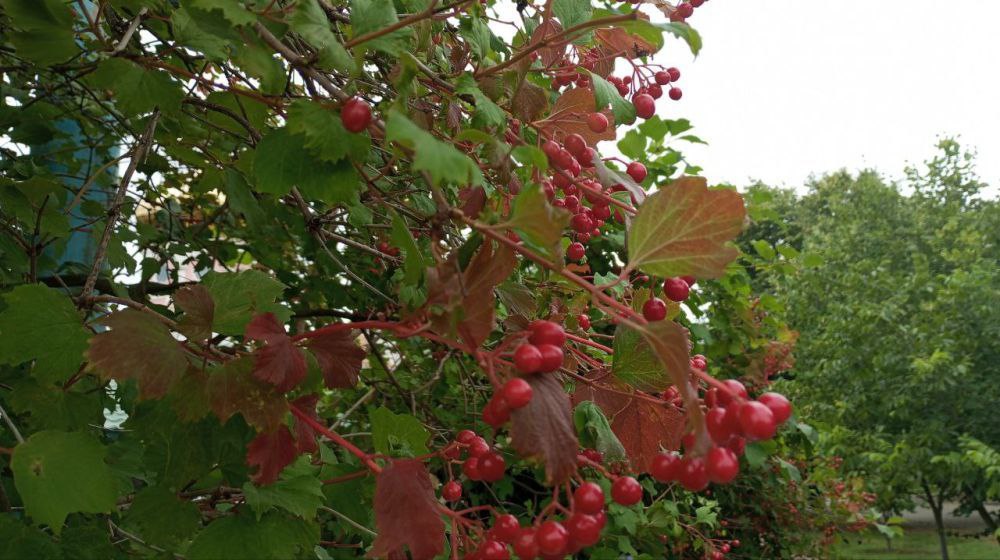 Доброе утро!. Пускай утро вторника начнется с улыбки, прекрасного настроения и с чашечки вкусного кофе