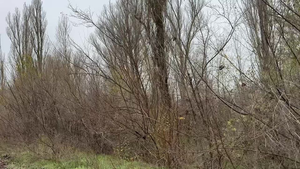 ��������������� ������ ������ ������ ����� ��� ���������� ���������