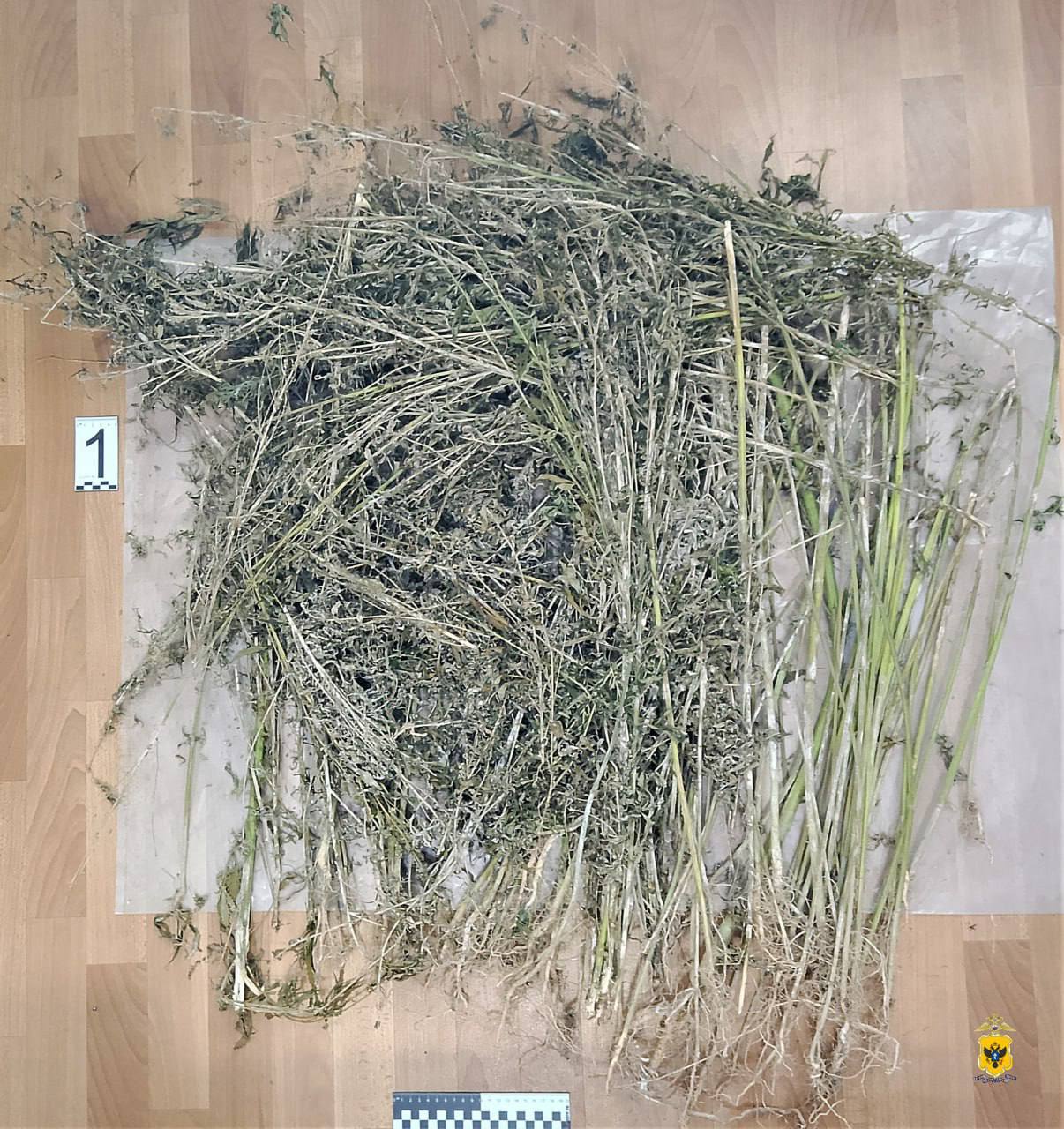 Житель Чаплинского округа осужден за незаконный оборот наркотиков