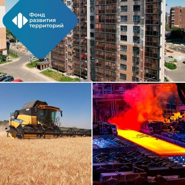 455 компаний реализуют инвестпроекты в свободной экономической зоне Донбасса и Новороссии