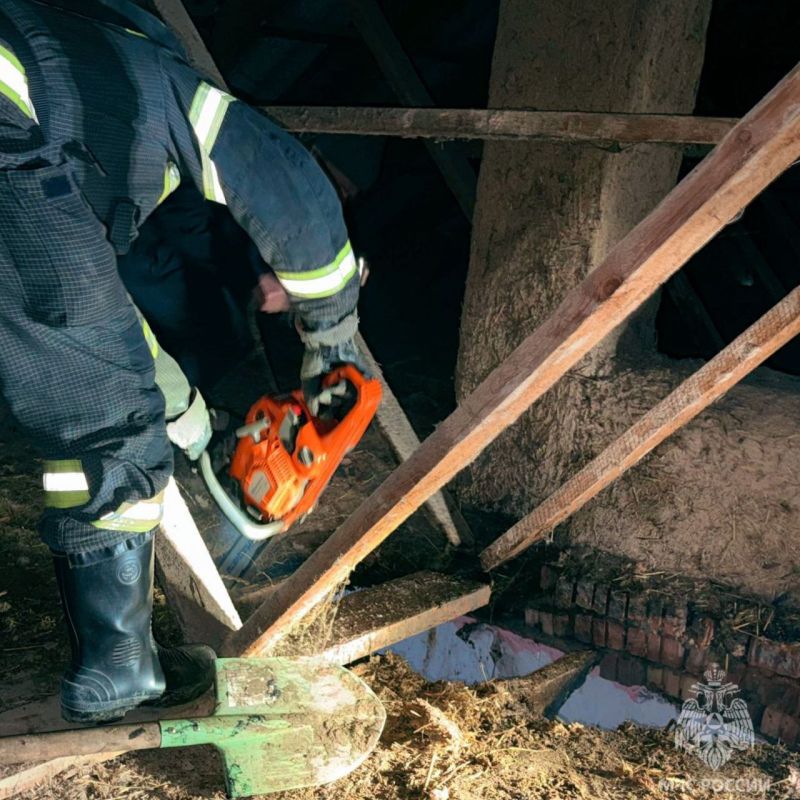 #�������������84. �������� ��� ���������� ������� ������������� ��� ���� ����� � ������������ ������ � ���� �������������� �� ����� �������� ����� ����� ���