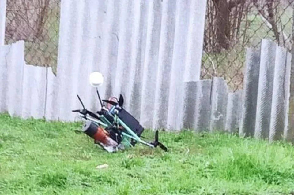 ��������������� ����������� ����������� ����������� � ���������� �������