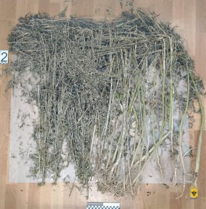 Житель Чаплинского округа признан судом виновным в незаконном обороте наркотических веществ