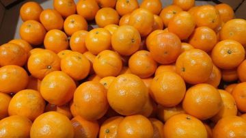 � ����� ������� �� �� ������� �������� 100 ���� ����������