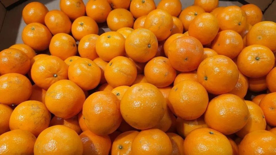 � ����� ������� �� �� ������� �������� 100 ���� ����������