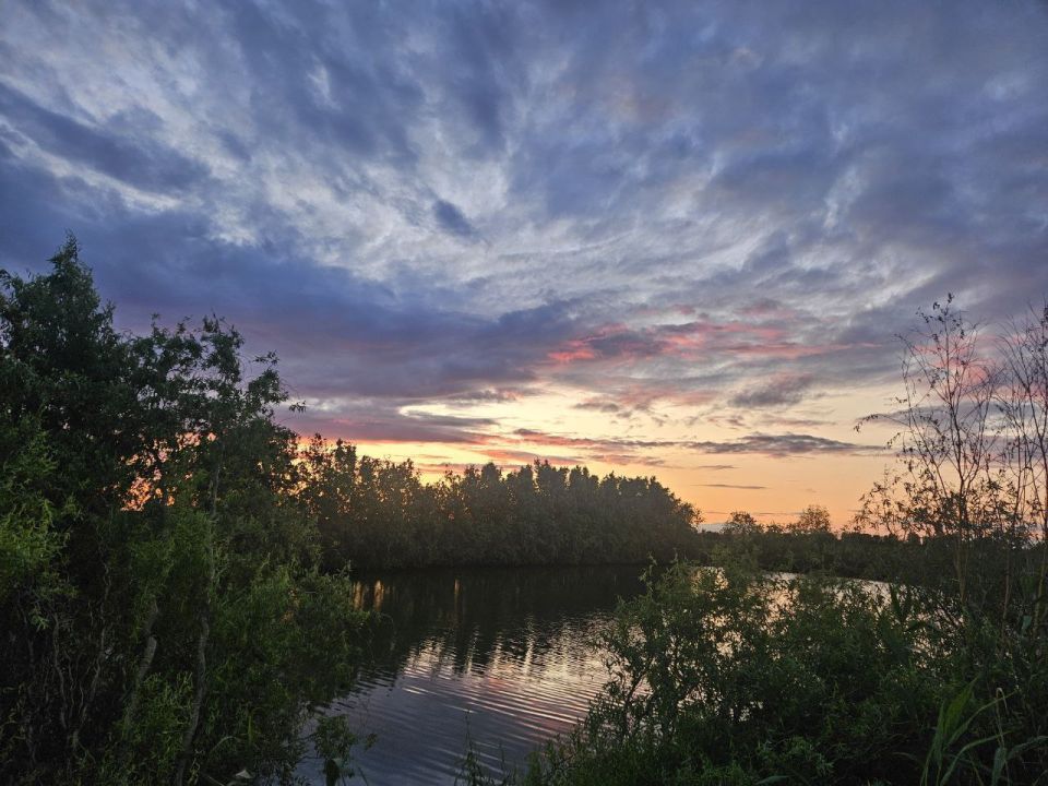 ������� ������!. ����� ���� ����� ������ ��������� �������� ������ � �����������, ����� ������ ������ �������� ���, ����� � �������