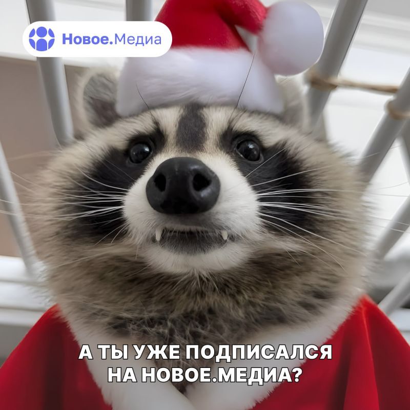 ���� �� �������: ��������� ������ ����� ����� �����: �� � ����? ���, ��� � ����, ��� �����