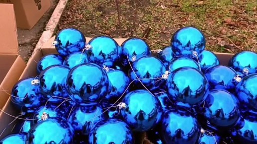 ������� ���������� ���� ���������, ������������� �� ����������� �������, ���������� �������� �������, ���������� ��� ����� ����������� ���