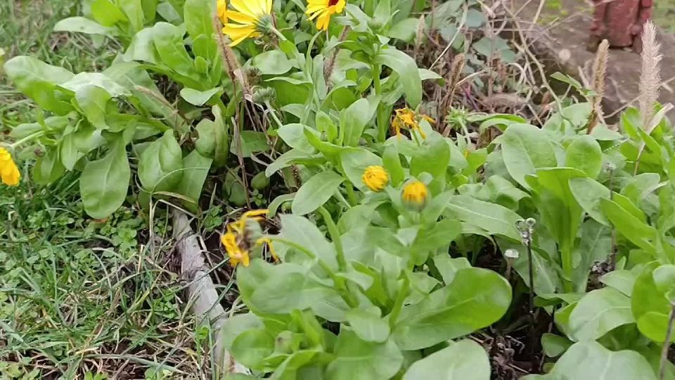 ������ ����, ������ ���������� �������������� ������!