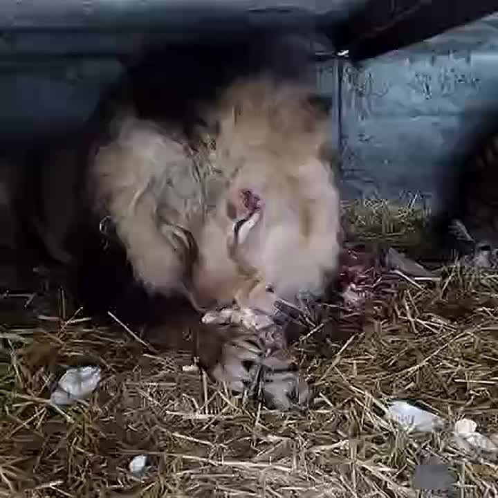 ������� �������! ������� ����� ����� ����� ��� ��� ��� � �������� ���������� ����� ����