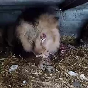 ������� �������! ������� ����� ����� ����� ��� ��� ��� � �������� ���������� ����� ����