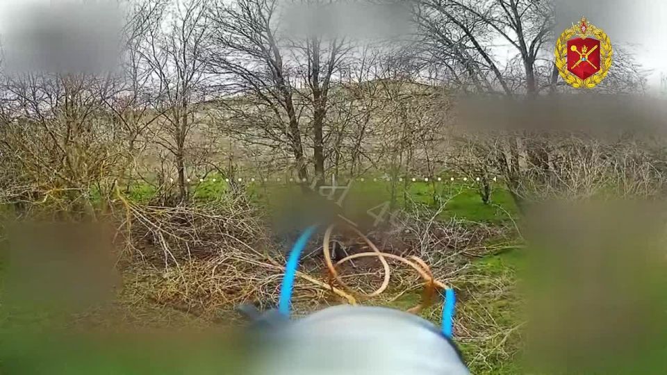 ������� ������� ������� �������� ����������