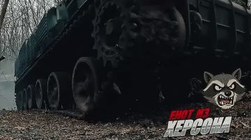 ���� �� �������: ���������