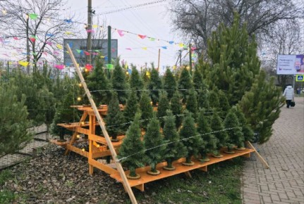 � ���������� ������� ��������� ������� ������