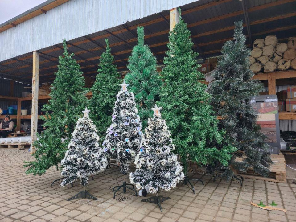 �� ���������� �������� �������� ������ ������� �������