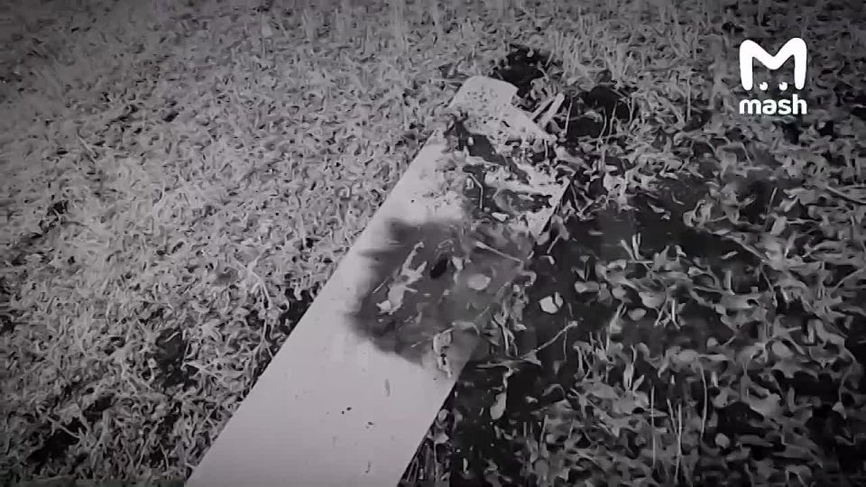 ������ 500 ������� ������ ���������� ������������� ���������� �������� ��� �� ��� ������ ���������