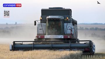 ������������� ������ �������� �������� ������ ��� ������ � �������� ������� � �������� � ��������� �������� �����������, ����������� � ���������� ��������