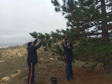 ������� ���� �������� ����� ��� �������������� ����� ����������