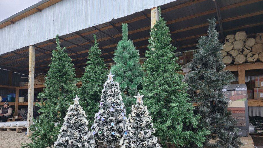 � ���������� ������� ��������� ������� ������