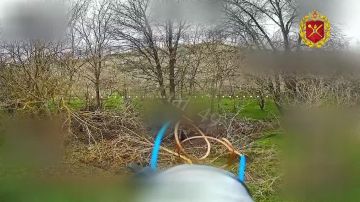 Вскрыта огневая позиция миномета противника