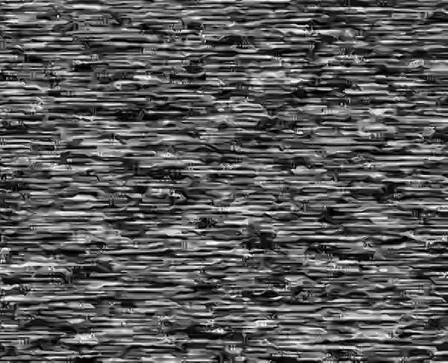 ���������� �����: ���� ����� ������ � ���: ����� �������� ����������� ����� ������