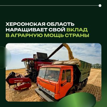 Херсонская область наращивает свой вклад в аграрную мощь страны