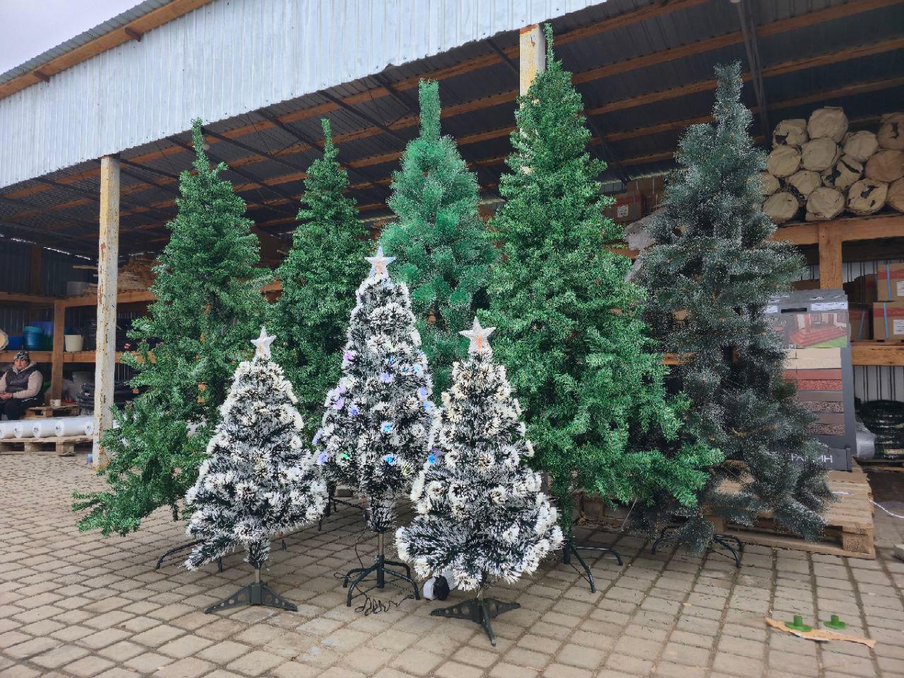 В Херсонской области открылись официальные елочные базары