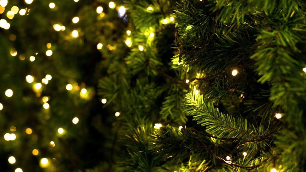 Пожарная безопасность в быту и во время новогодних праздников