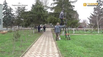 �������� ������� ������������ ������� ��������� � ���������� ������