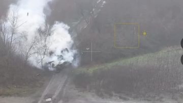 Енот из Херсона: Зрелищное уничтожение танка противника