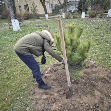 Благоустройство округа — на постоянной основе