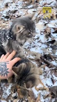 ������� �� ������ �������, ������� ����������� � ���� ����� �� ����� �� ����������� ���