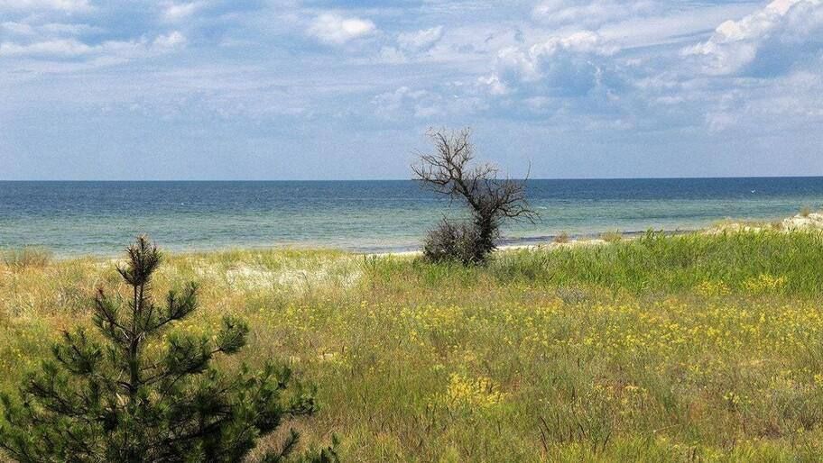 � ��������� ���������� ������� �� 2025 ��� ��������� ����� 130 ���������������� ������