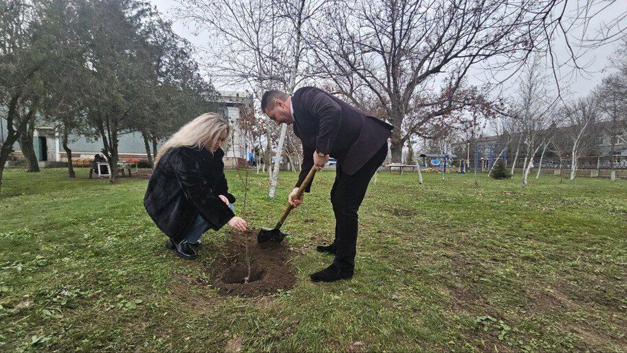 � ���� ����������� ������ �������� ���� ������