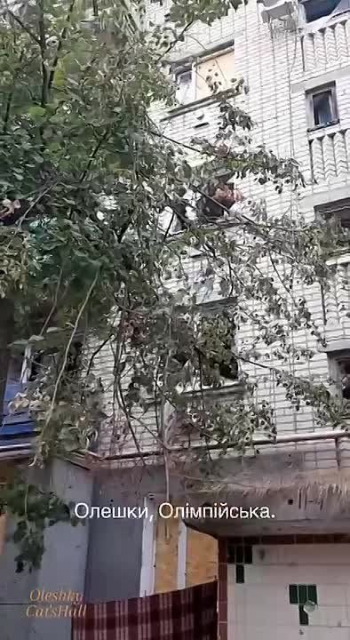 Украинские СМИ возмущаются в своих каналах видом разрушенных Алешек