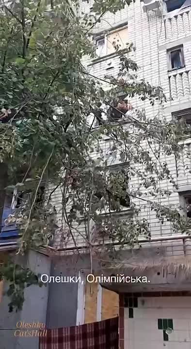 Украинские СМИ возмущаются в своих каналах видом разрушенных Алешек