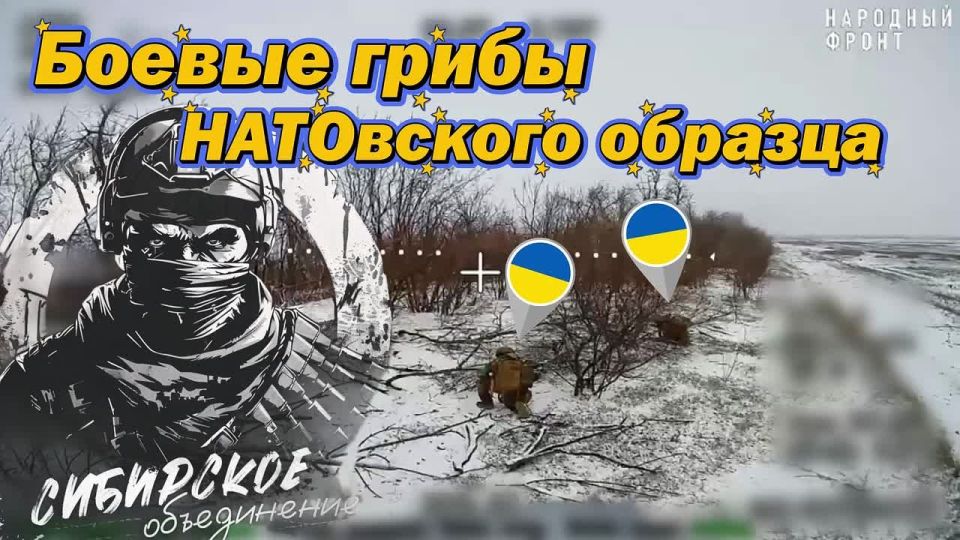 � �� ��������, ������� ����� ������