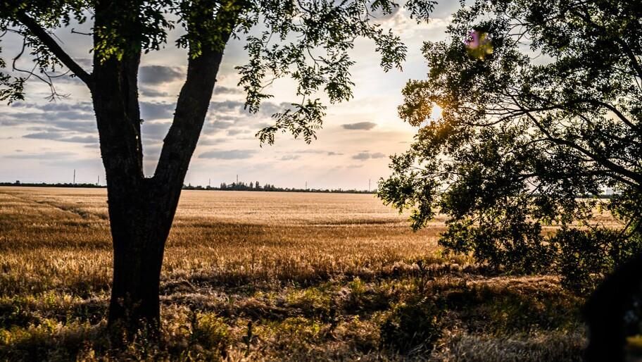 ������ ��������� ������ �������� ������� ��� �������������� � ���������� �������