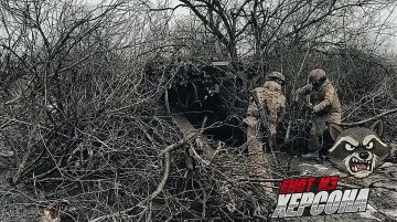 Сумская область. Артиллерийское подразделение Тульских гвардейцев-десантников наносит точные удары по укрепрайонам ВСУ Енот из Херсона