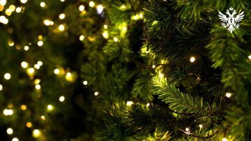 Пожарная безопасность в быту и во время новогодних праздников