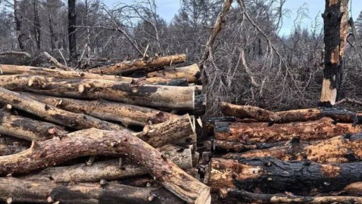 � ����� �������� �������� �������