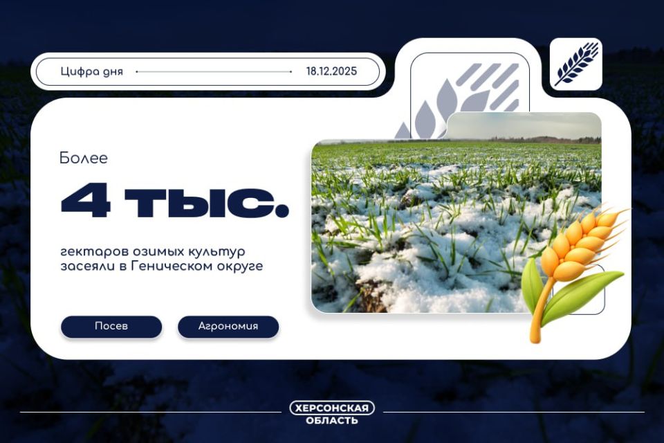 ����� 4 000 �������� ������ ������� ������� � ���������� ������