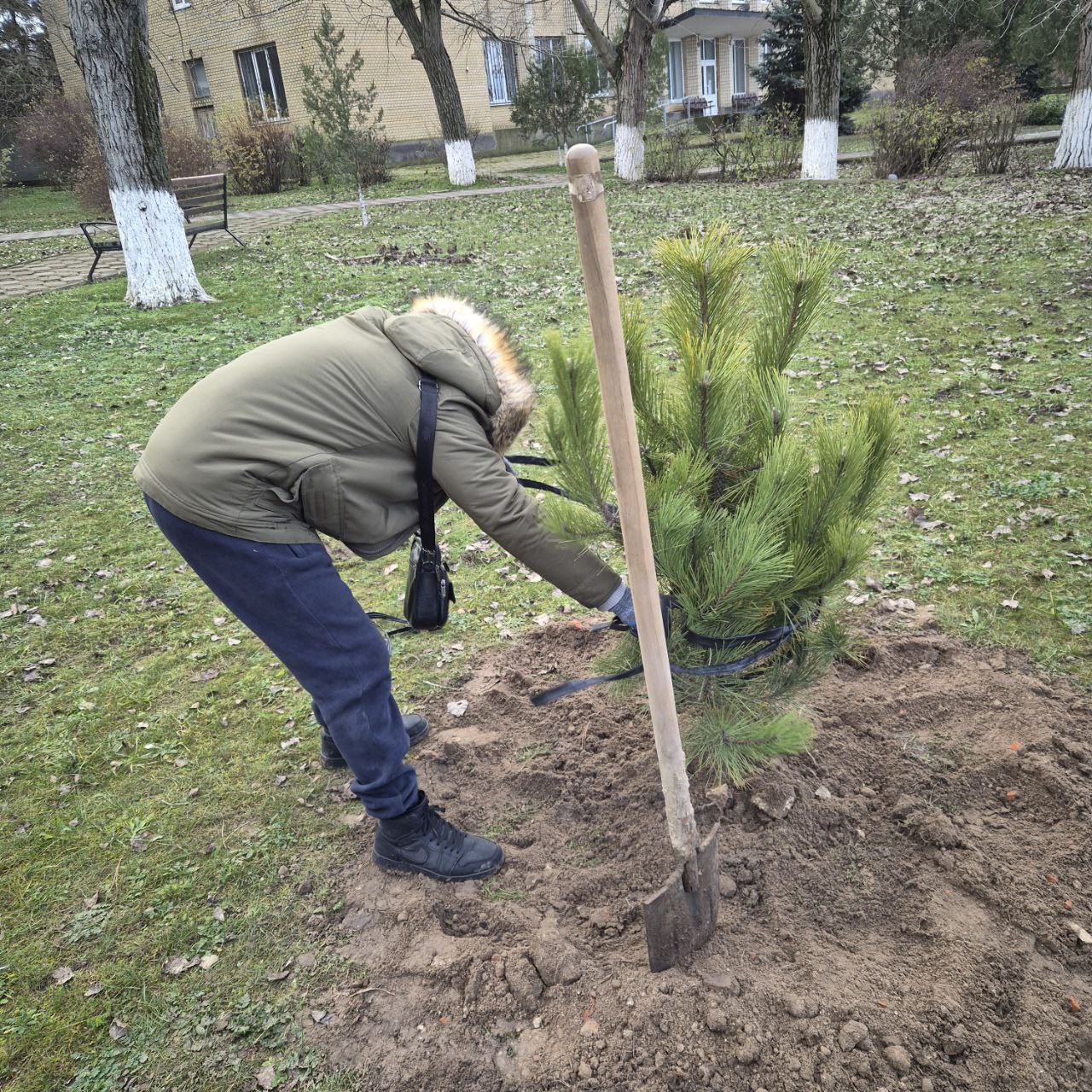 Благоустройство округа — на постоянной основе