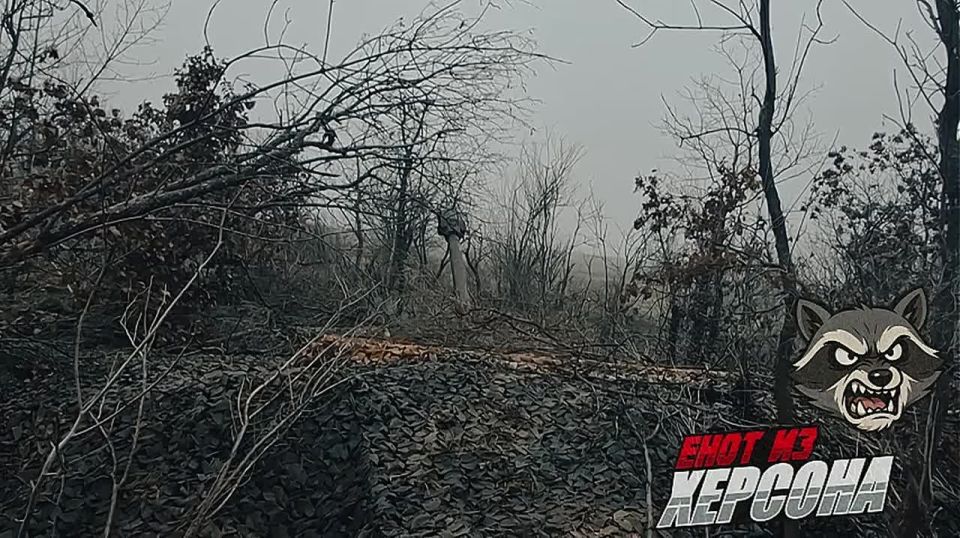 ������. ������ ������ �-30 ����������� ����� ������ ��������� ����� ���������� ���� � ������ ������ ��� �� ������ ������ ������ ���� �� �������