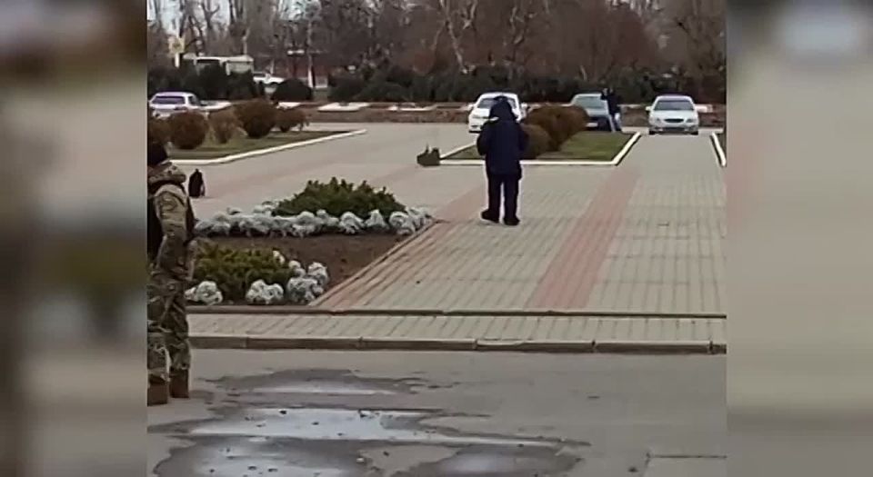 ��� ������ ������������ ������ � �. ����������� ���������� �������