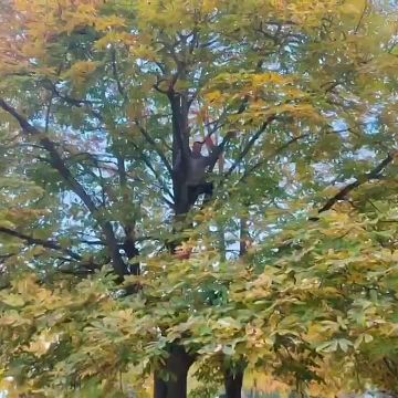 ���������� ����������� ������� �������� ����������� ��������-����